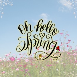 Hello Spring! How do you celebrate the new season in your family? Share with us all of your spring season festivities! Instagram post from @auburnglen on March 19, 2024 10:02:12am